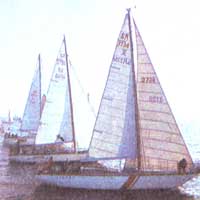 Во всесоюзных соревнованиях крейсерских яхт на Кубки Балтийского и Черного морей обычно участвуют десятки крейсерско-гоночных яхт, управляемых опытными экипажами.